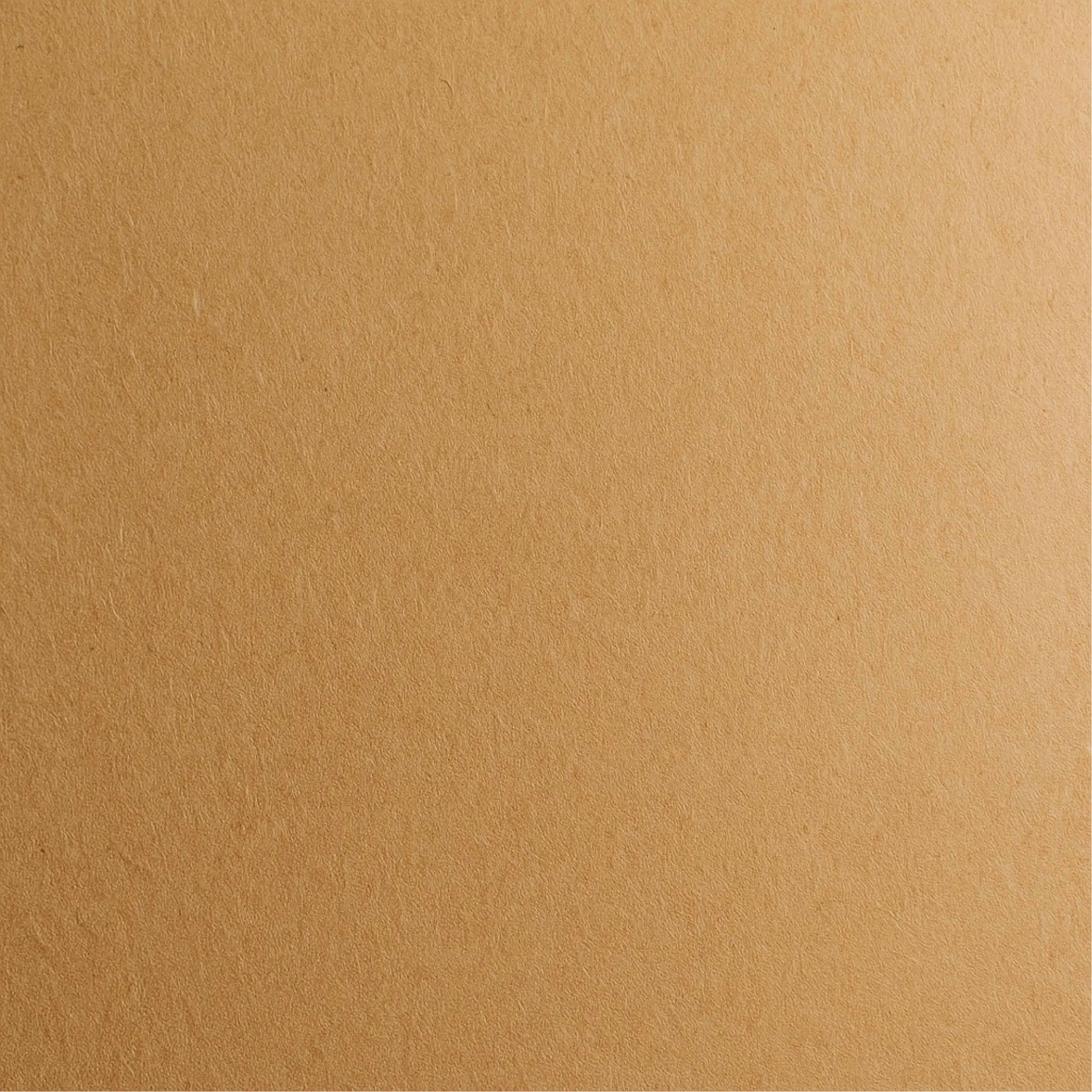 뉴에코크라프트 샘플 이미지